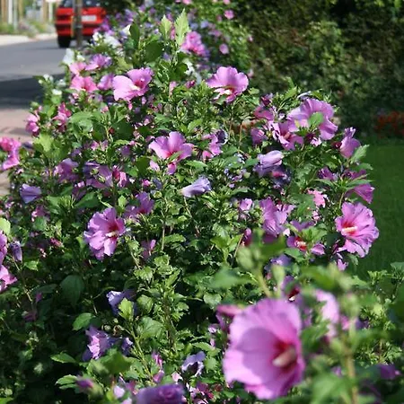 Appartement Am Kurpark
